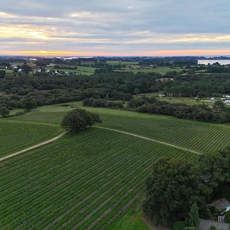 Gite -L'Appart- Au Vignoble Domaine Lamballe, Baden, Golfe Du Morbihan ภายนอก รูปภาพ