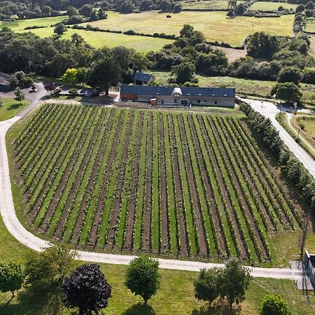Gite -L'Appart- Au Vignoble Domaine Lamballe, Baden, Golfe Du Morbihan ภายนอก รูปภาพ
