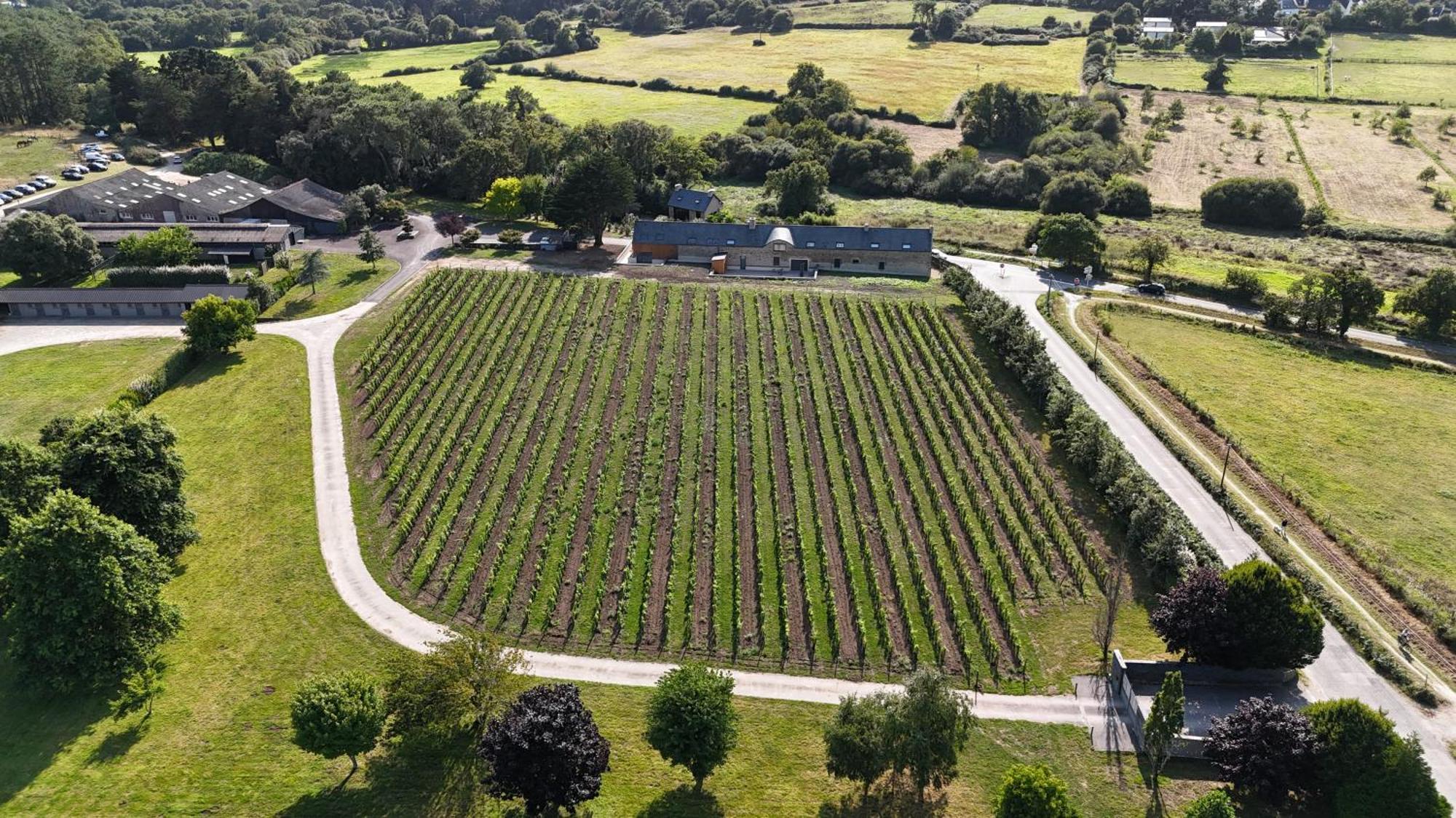 Gite -L'Appart- Au Vignoble Domaine Lamballe, Baden, Golfe Du Morbihan ภายนอก รูปภาพ